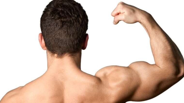 Como o Whey Protein ajuda no ganho de massa muscular