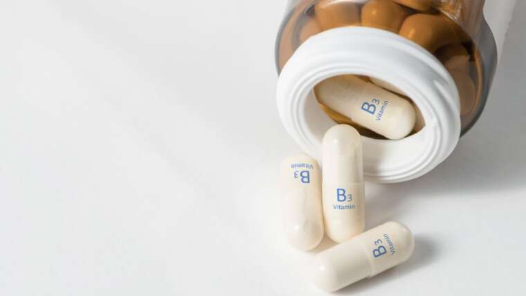 Whey Protein e vitamina B3: melhore a saúde cerebral e previna doenças