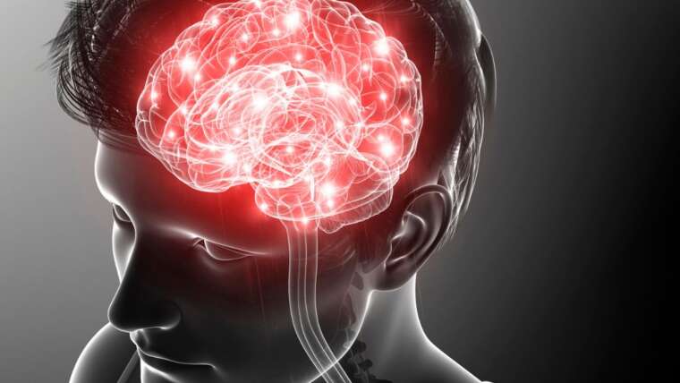 Whey protein e vitamina B12: como melhorar a saúde cerebral e prevenir doenças